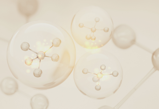 Balance ist der Schlüssel für die Longevity deiner Haut